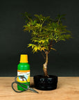 Acer Starterset