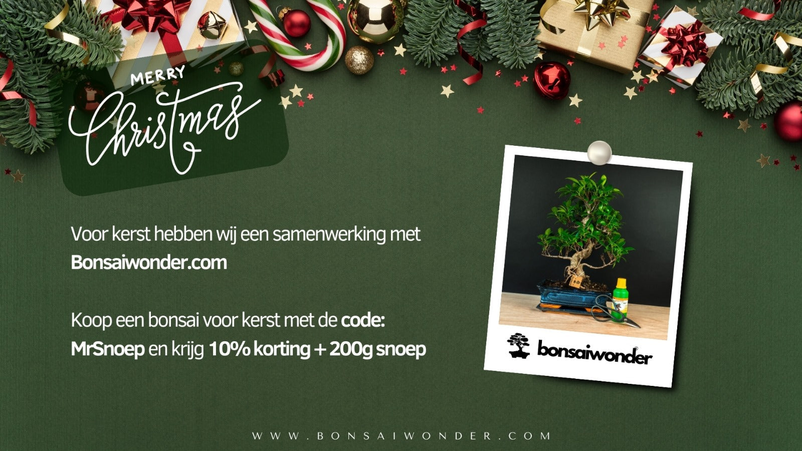 Kerstactie van Mr. Snoep en Bonsaiwonder®