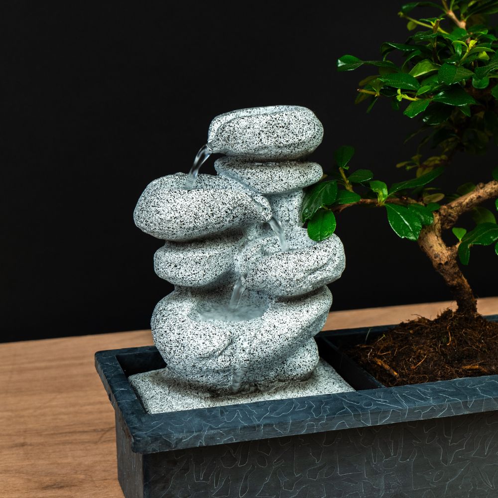 4 Stuks Bonsaischalen – 36 X 26,2 X 10,6 Cm – PP Kunststof – Met Onderzetters – Faux Paarse Zandlook – Voor Binnen & Buiten